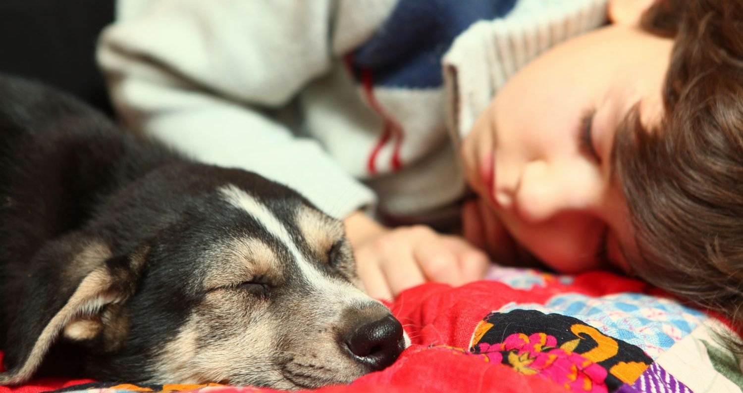 '.$row[0]['img_alt'].'