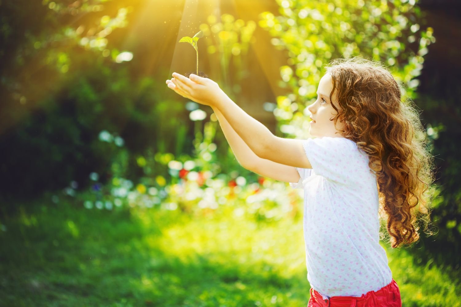 Dünya Çocuk Hakları Bildirgesi